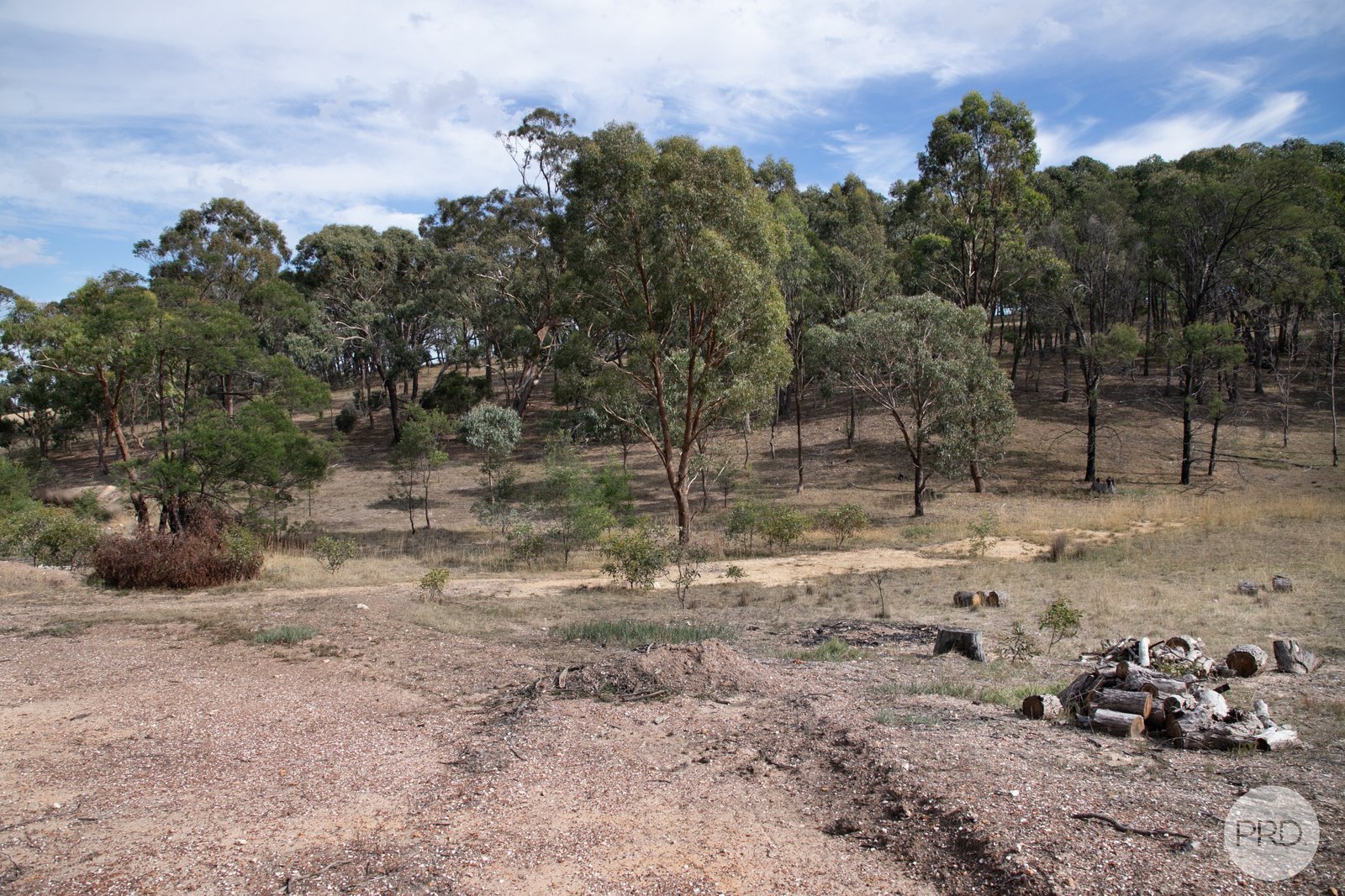 340 Old Shirley Road BEAUFORT 12