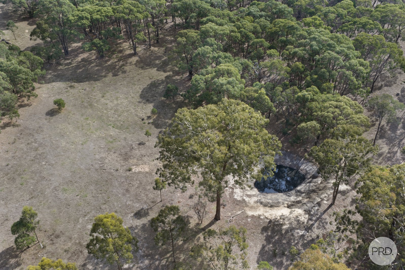 340 Old Shirley Road BEAUFORT 15