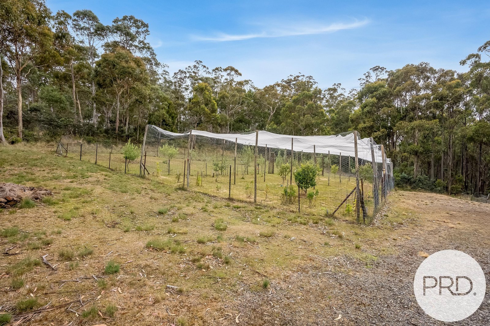 340 Phipps Road RUNNYMEDE 19