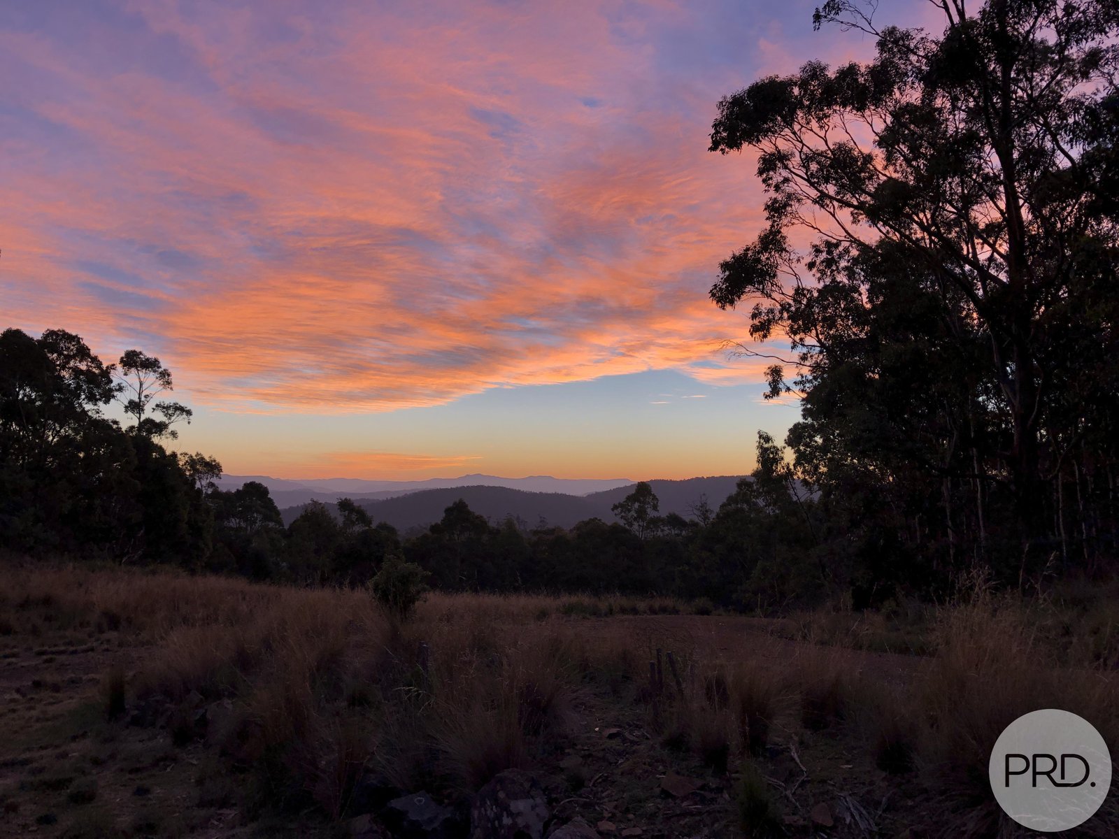 340 Phipps Road RUNNYMEDE 28