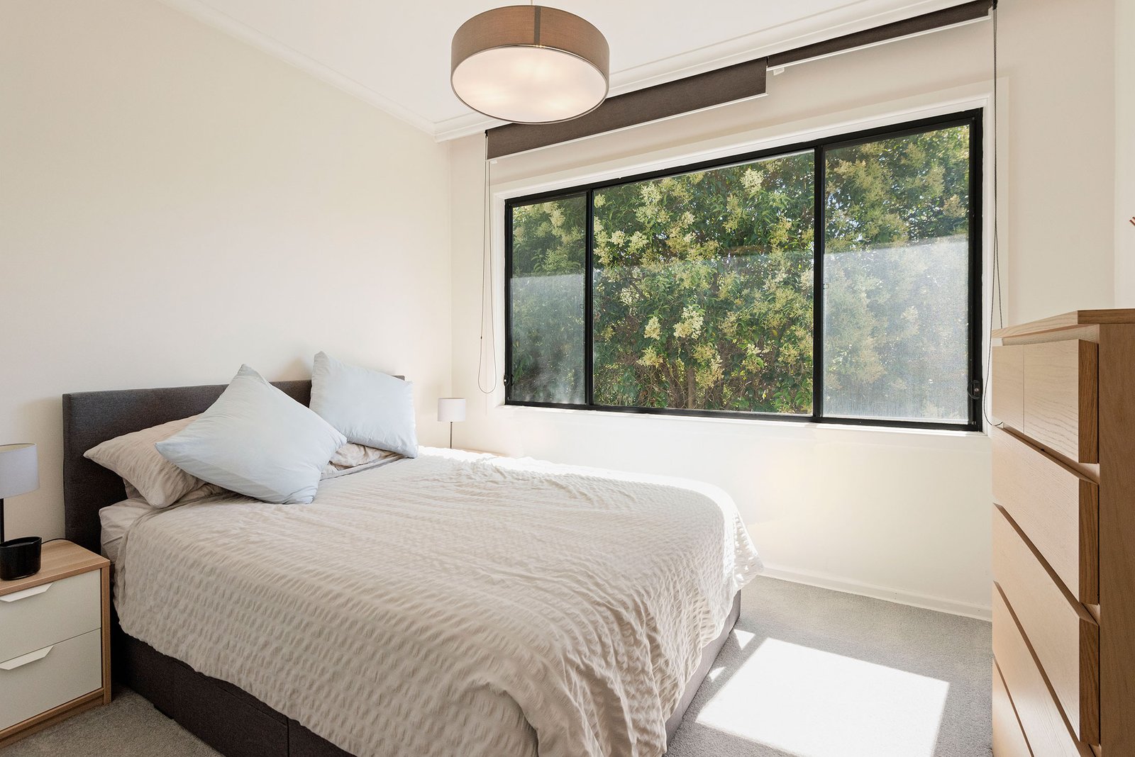 Gallery: 3/43 Abbott Street