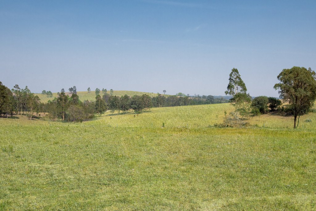 343 Elderslie Road BRANXTON 1