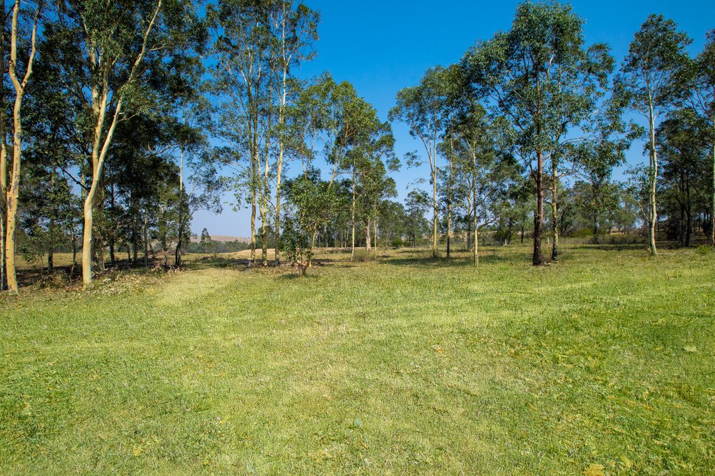 343 Elderslie Road BRANXTON 2