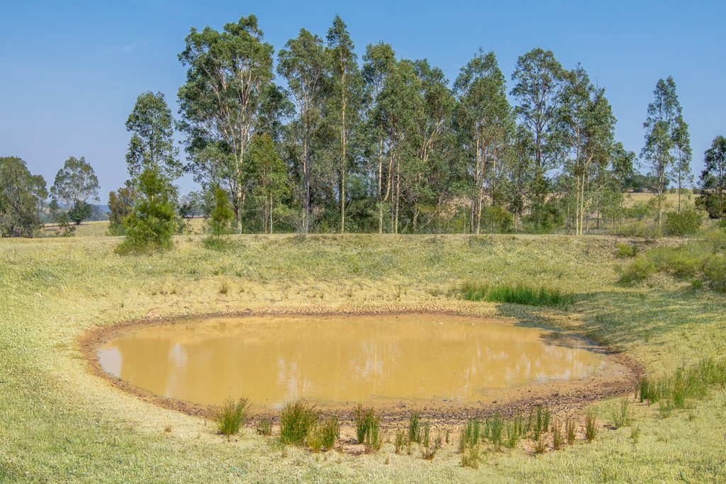343 Elderslie Road BRANXTON 4