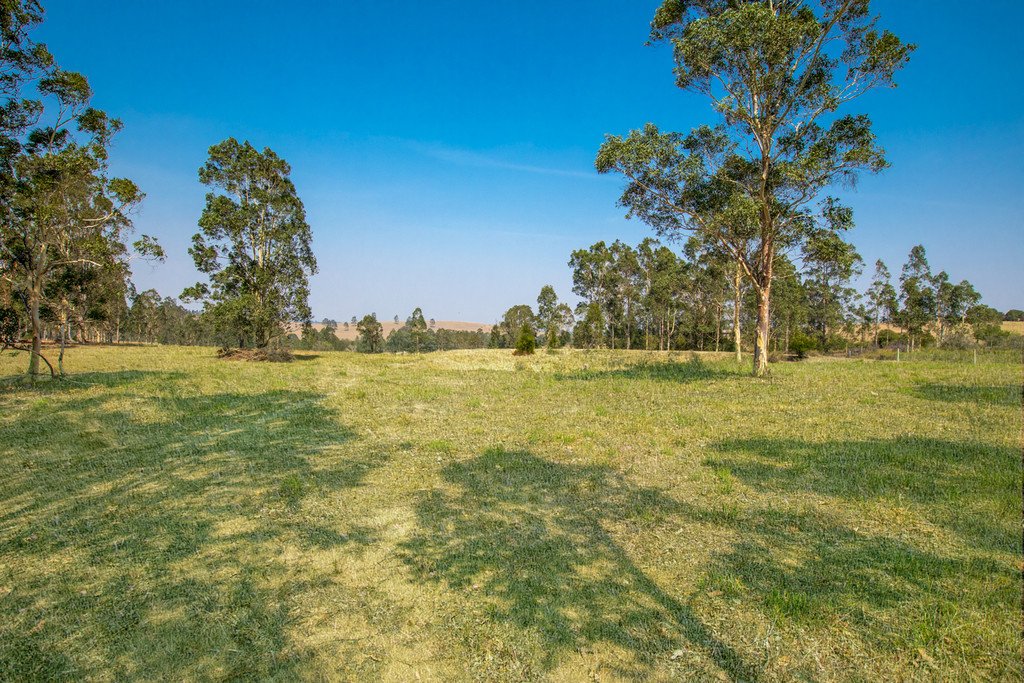 343 Elderslie Road BRANXTON 5