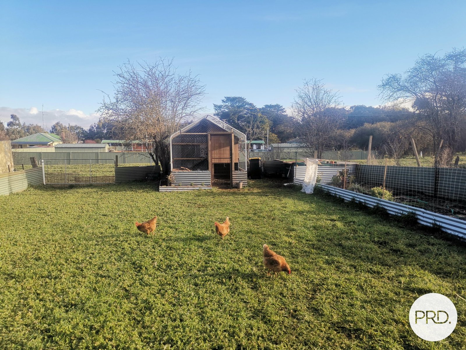 345 High Street LEARMONTH 7