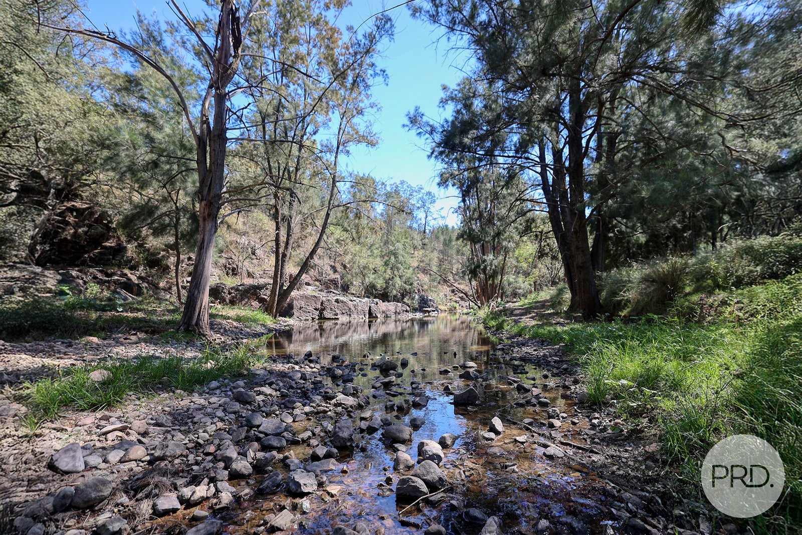 345 Lowes Creek Road QUIPOLLY 4