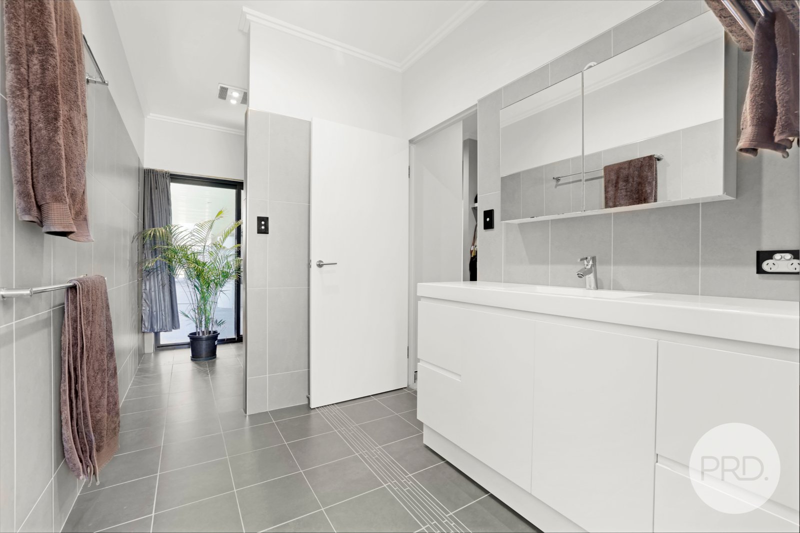 345 Lowes Creek Road QUIPOLLY 19