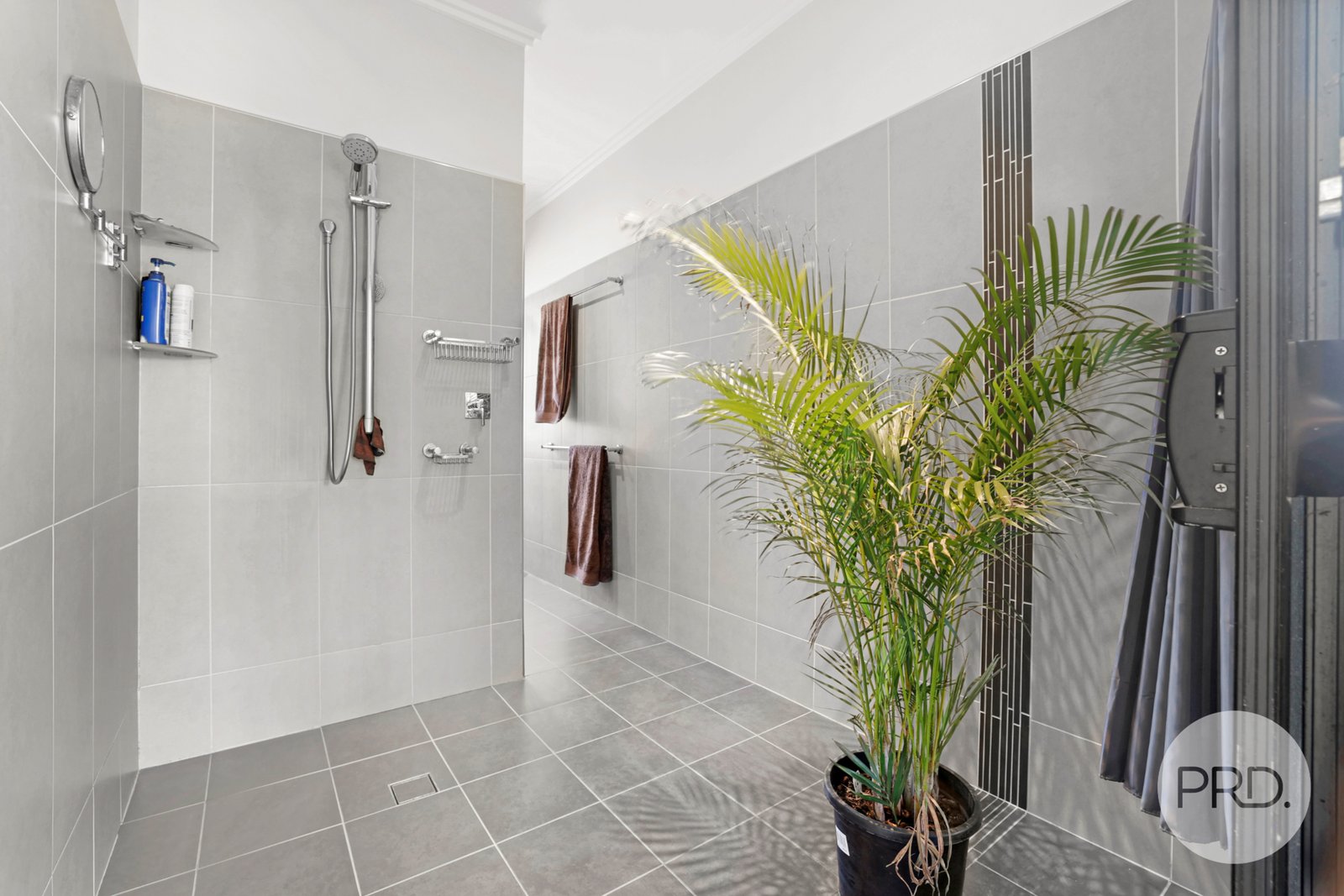 345 Lowes Creek Road QUIPOLLY 21