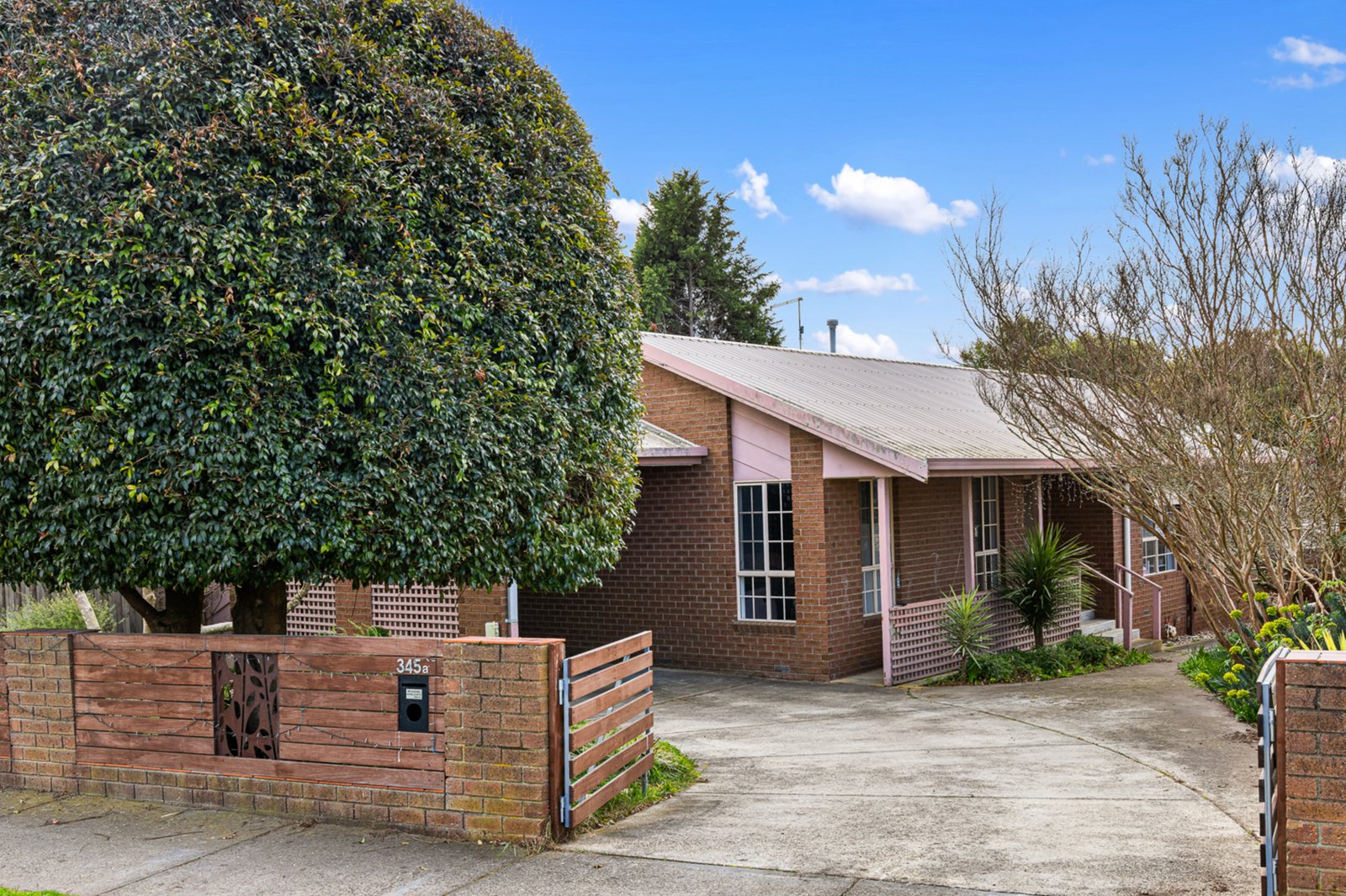 Gallery: 345A Humffray Street North