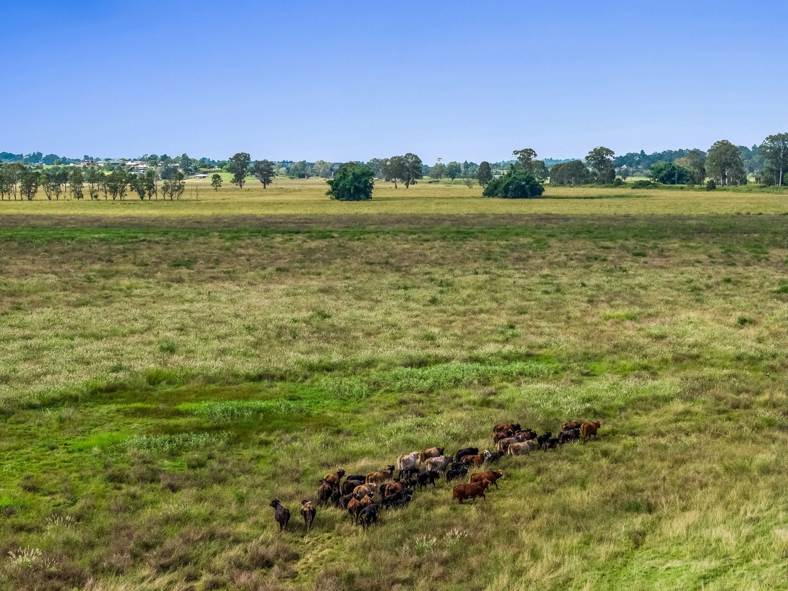 347 Summerland Way KILGRA 4