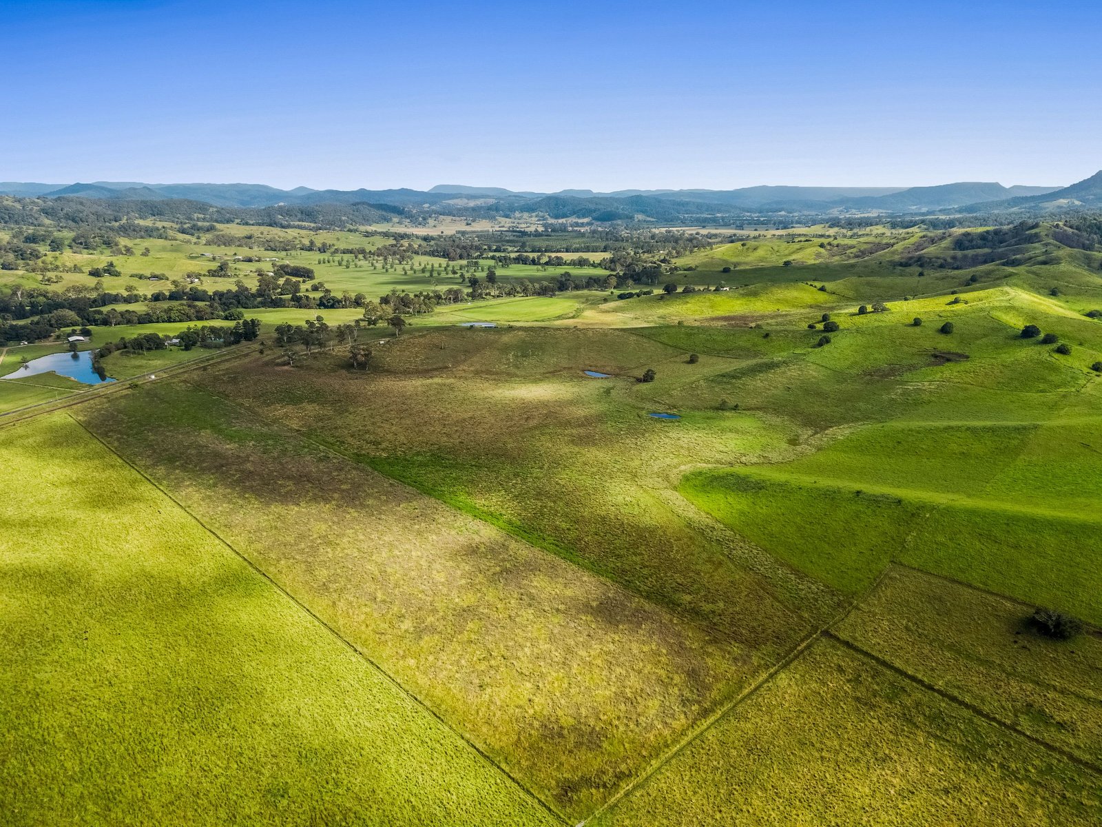 347 Summerland Way KILGRA 10