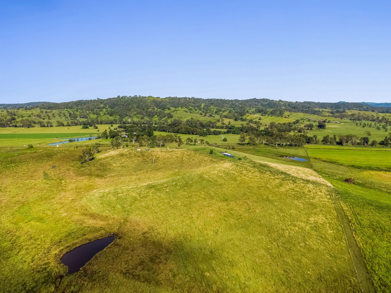 347 Summerland Way KILGRA 28