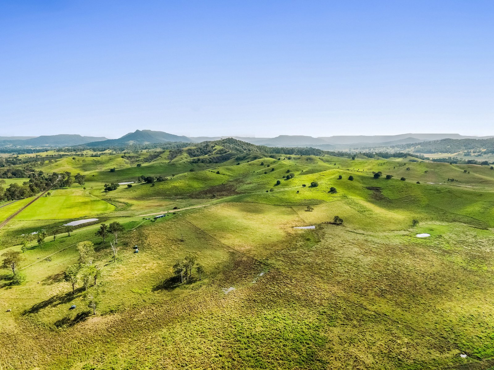 347 Summerland Way KILGRA 29