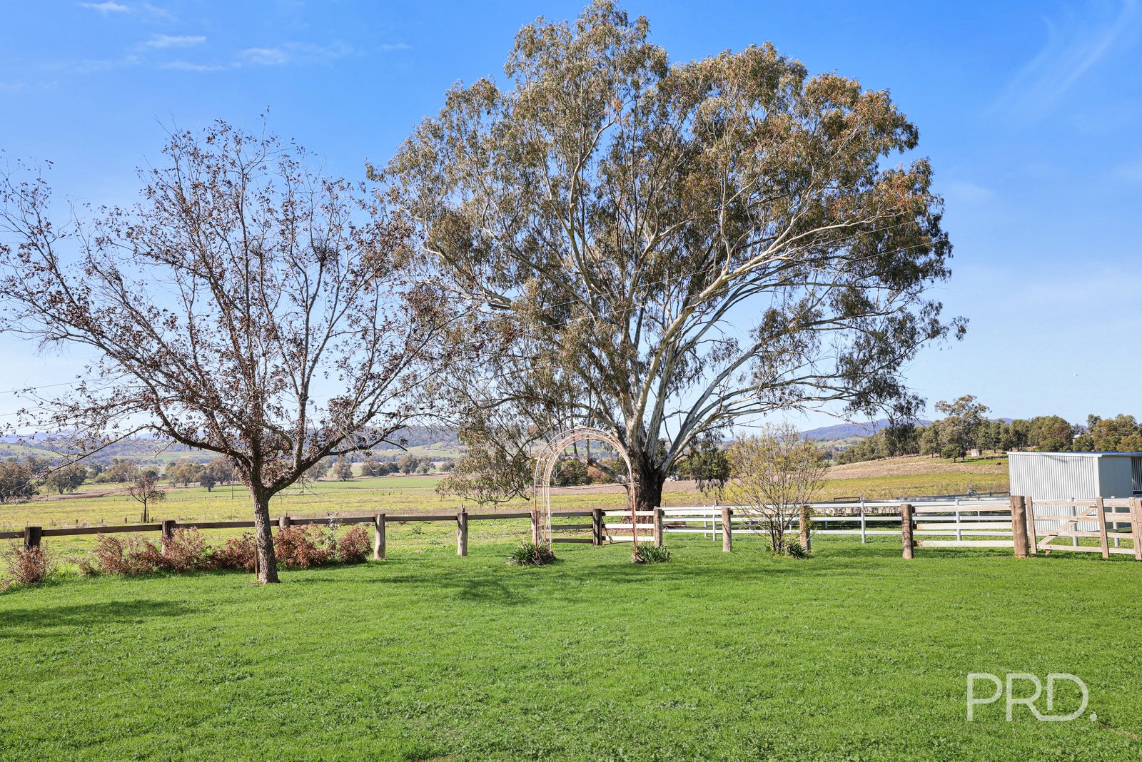 347 Warrah Ridge Road QUIRINDI 26