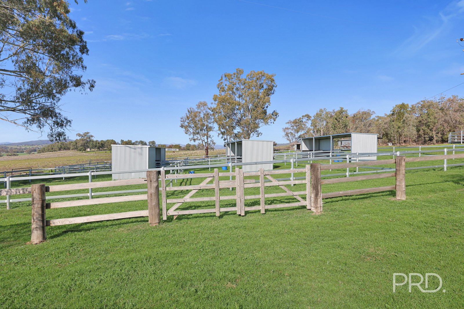 347 Warrah Ridge Road QUIRINDI 27