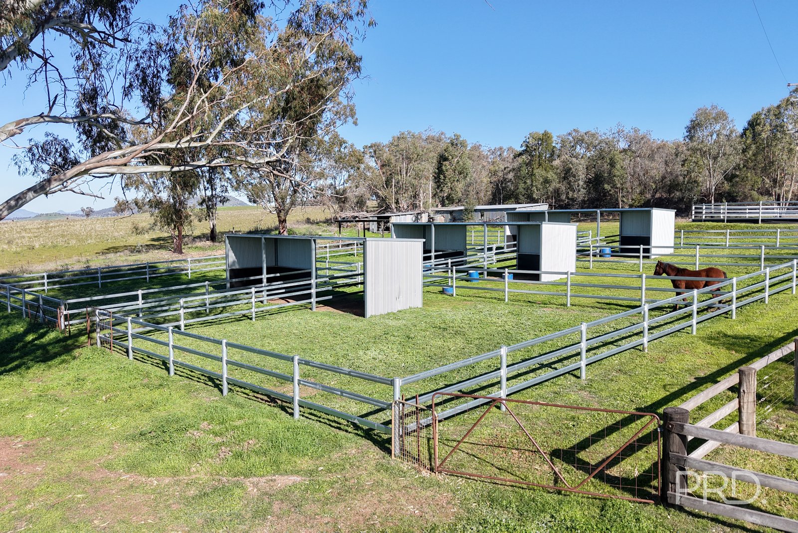 347 Warrah Ridge Road QUIRINDI 28
