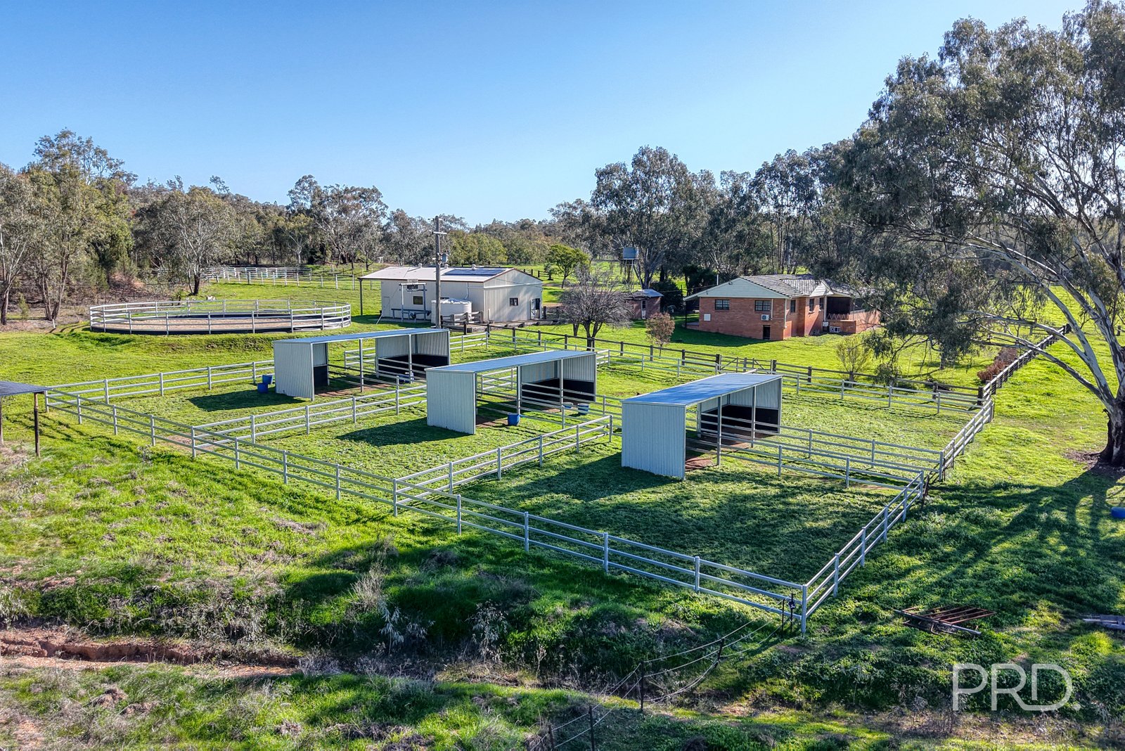 347 Warrah Ridge Road QUIRINDI 32
