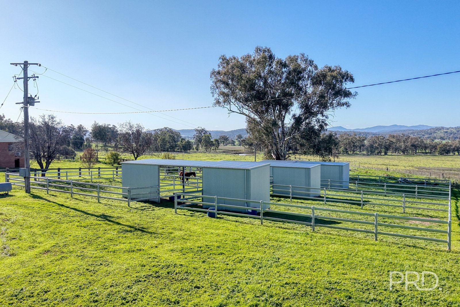 347 Warrah Ridge Road QUIRINDI 33