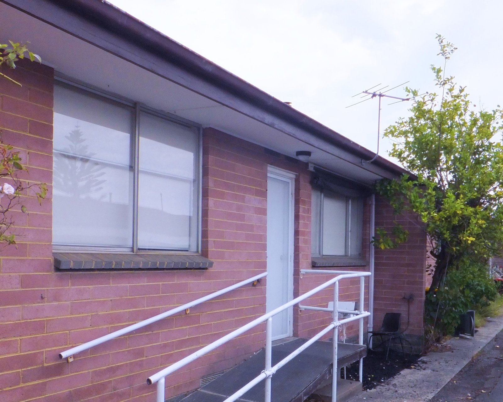 Photos: 3/48A Noble Street