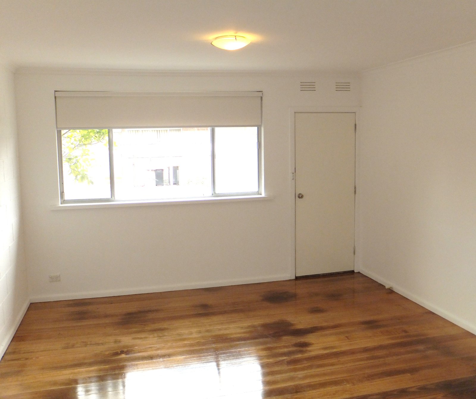 Gallery: 3/48A Noble Street