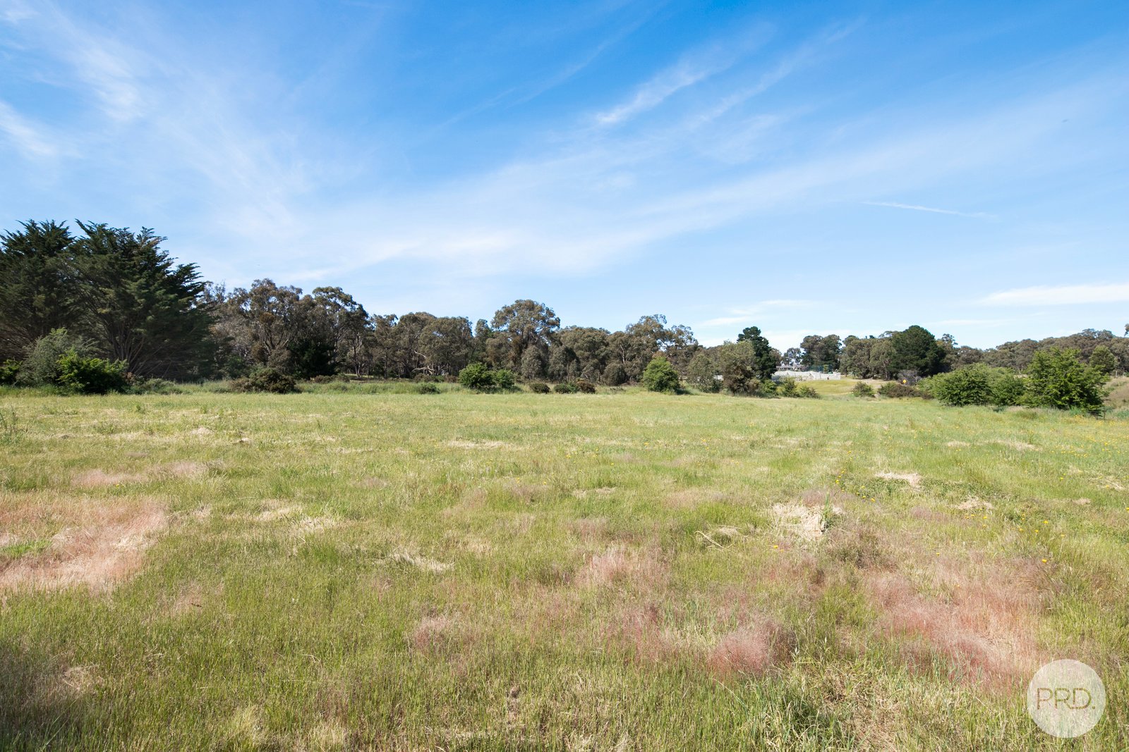 349 Wrigleys Road BROOMFIELD 1
