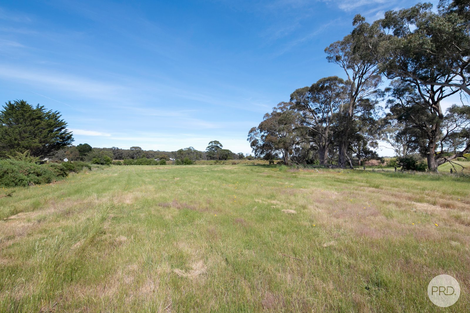 349 Wrigleys Road BROOMFIELD 2