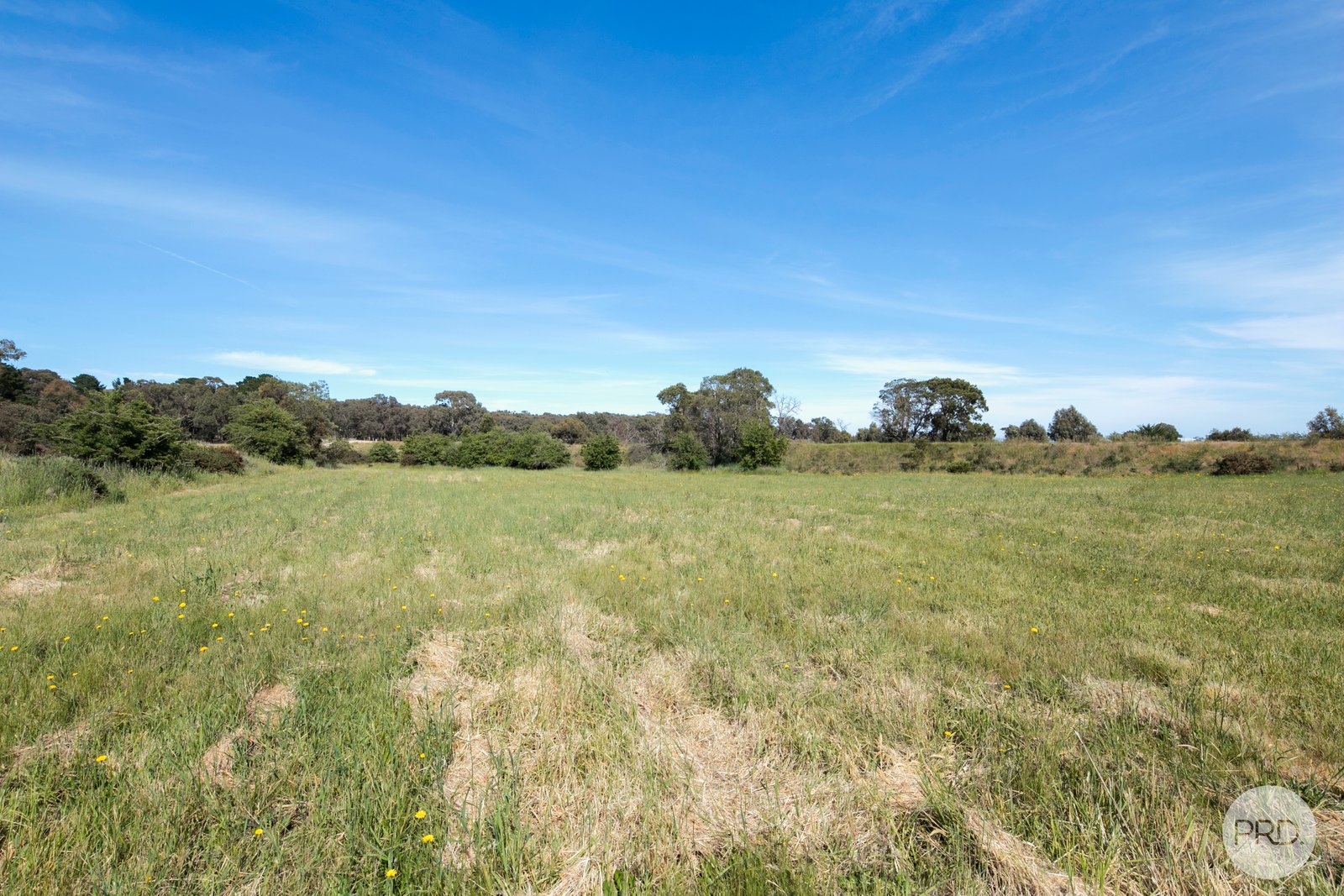 349 Wrigleys Road BROOMFIELD 3