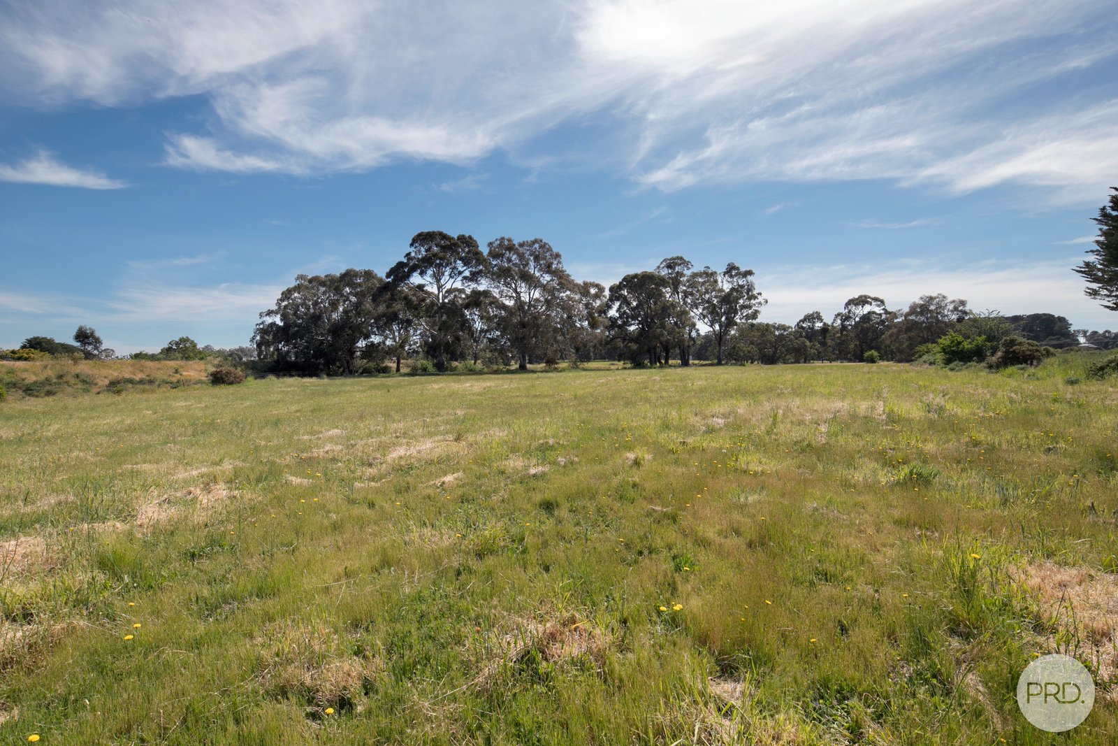 349 Wrigleys Road BROOMFIELD 4