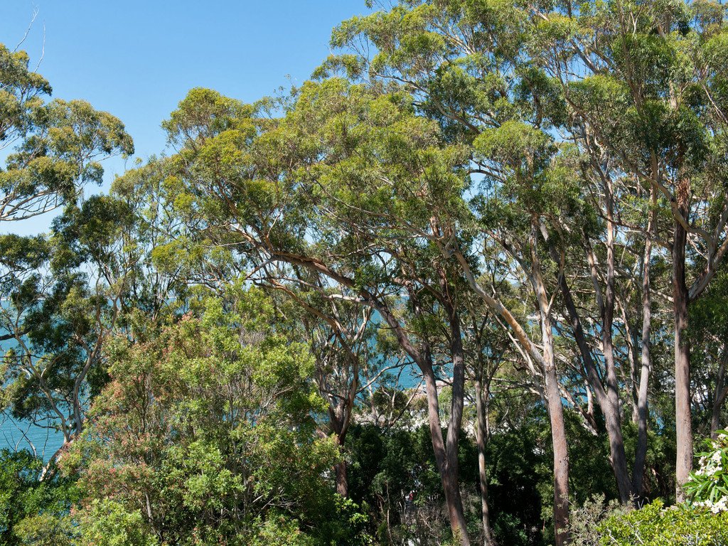 3/4A Thurlow Avenue NELSON BAY 3