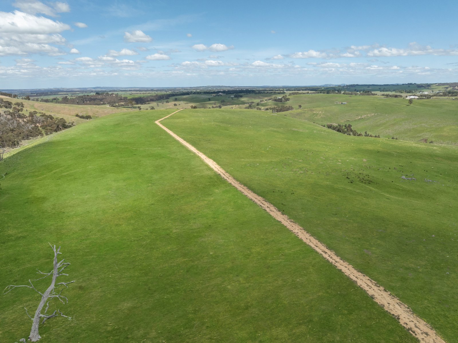 Photos: 35, 35A, 42 & 42A Romsey Road