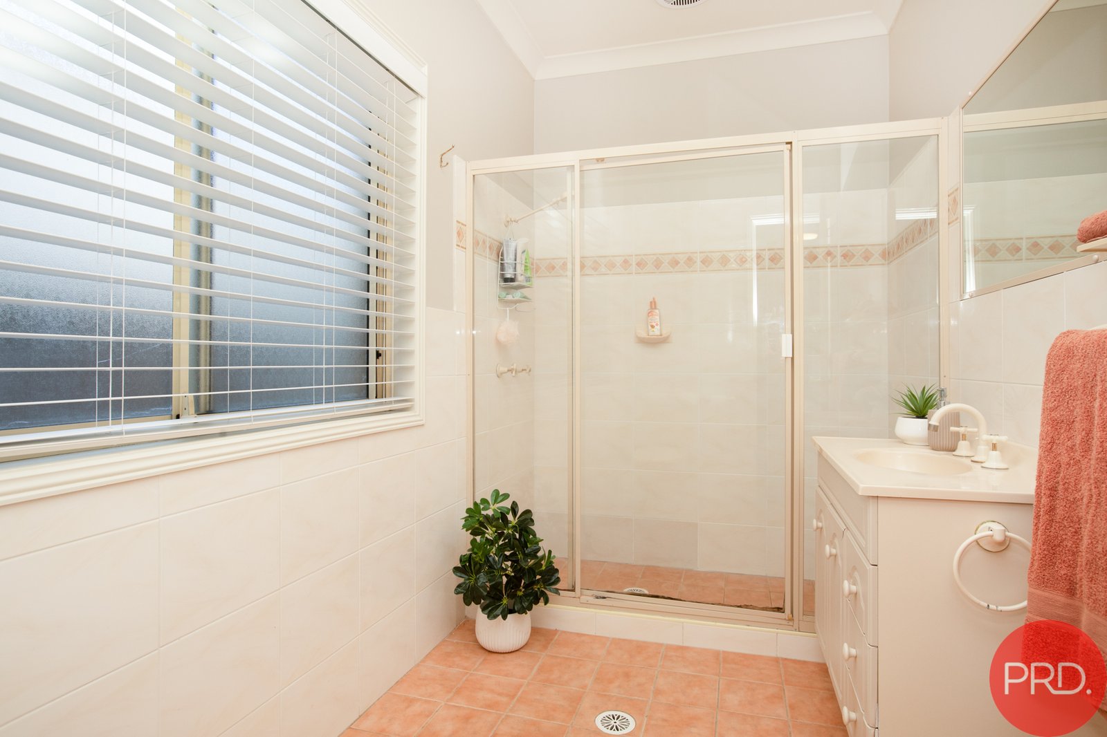 35 Airlie Street ASHTONFIELD 11