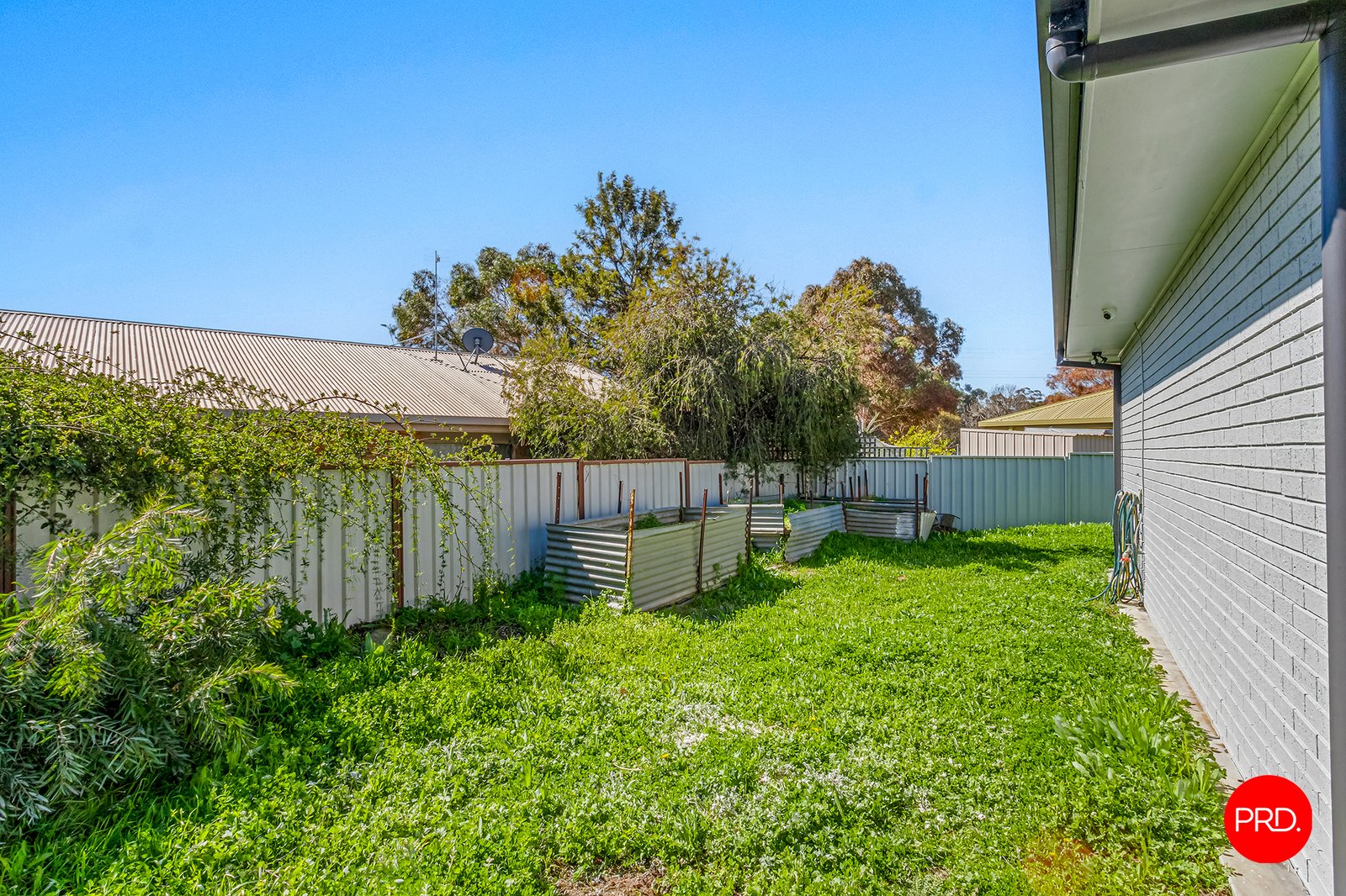 35 Arblaster St  CALIFORNIA GULLY 11