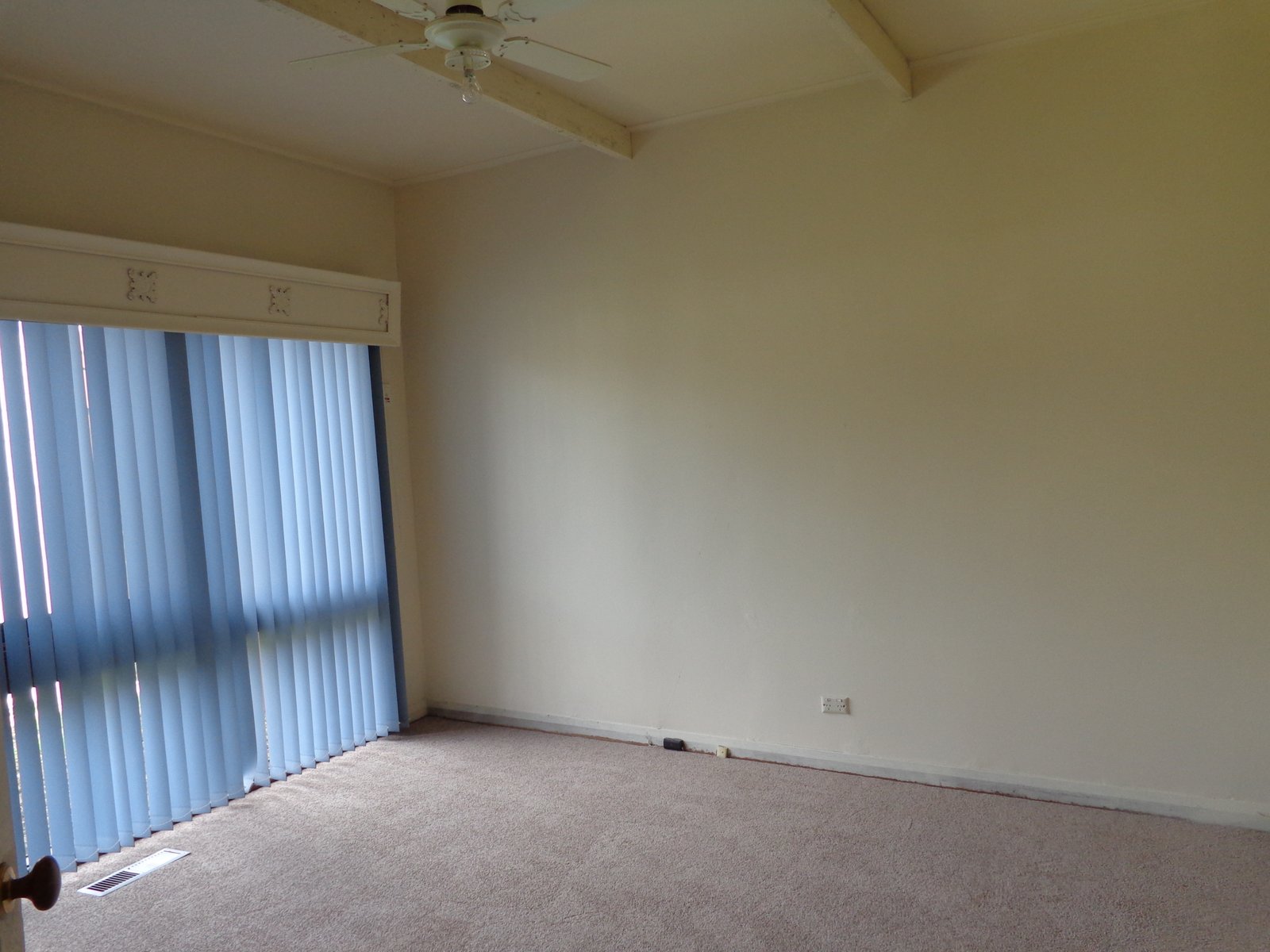 Gallery: 35 Bethell Avenue