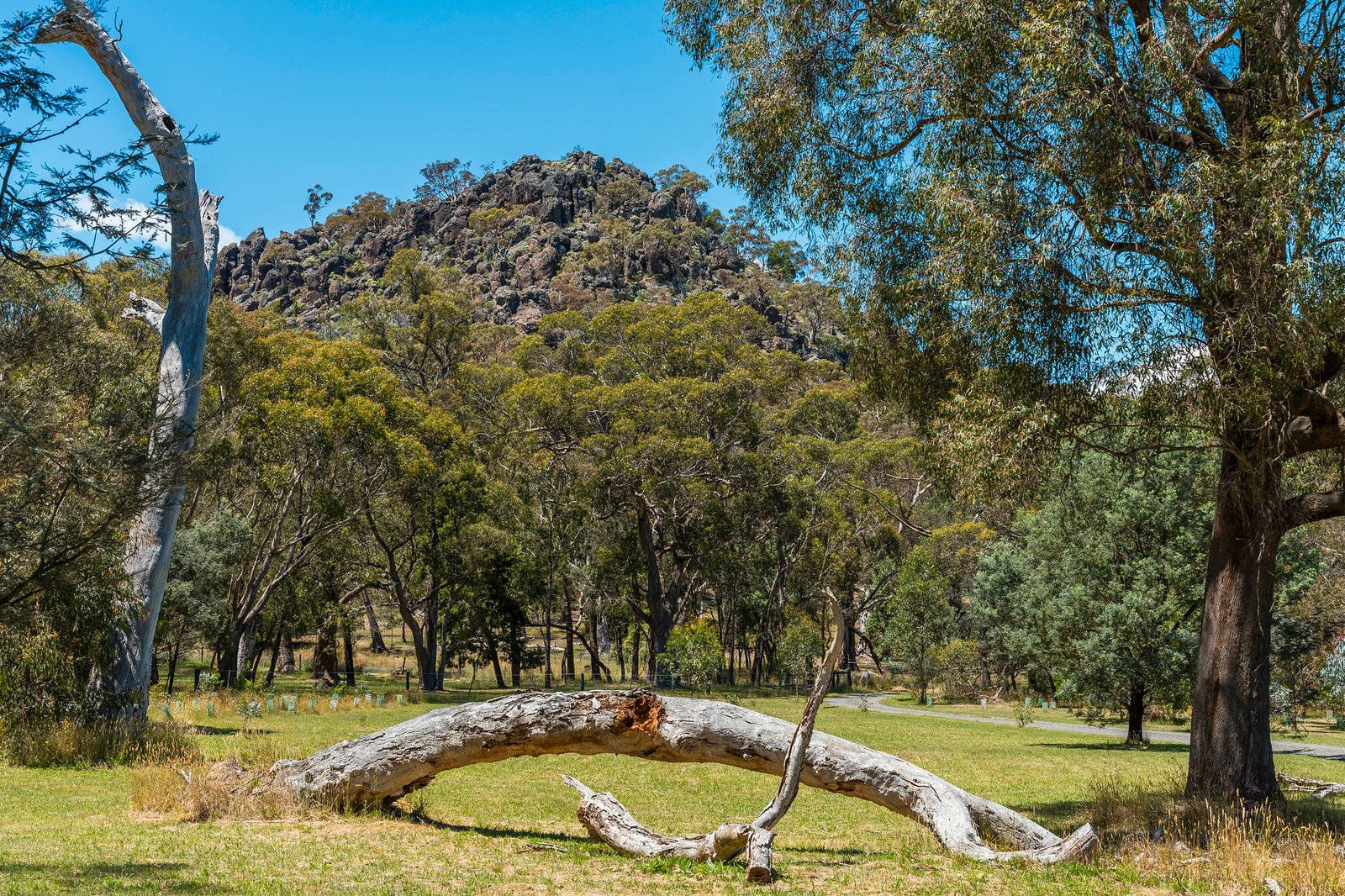 Real Estate and Property in 35 Colwells Road, Newham, VIC