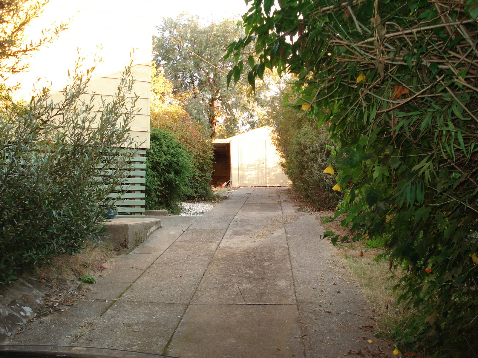 35 Groves Street TALBINGO 25