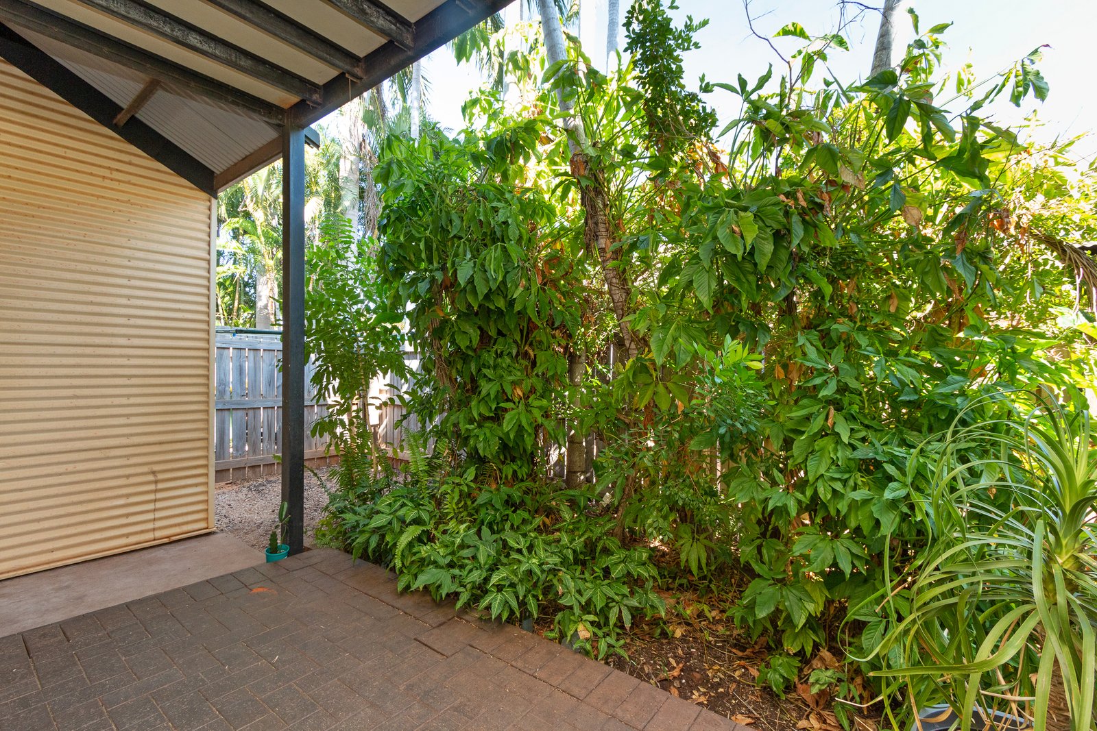 3/5 Herbert Street DJUGUN 15