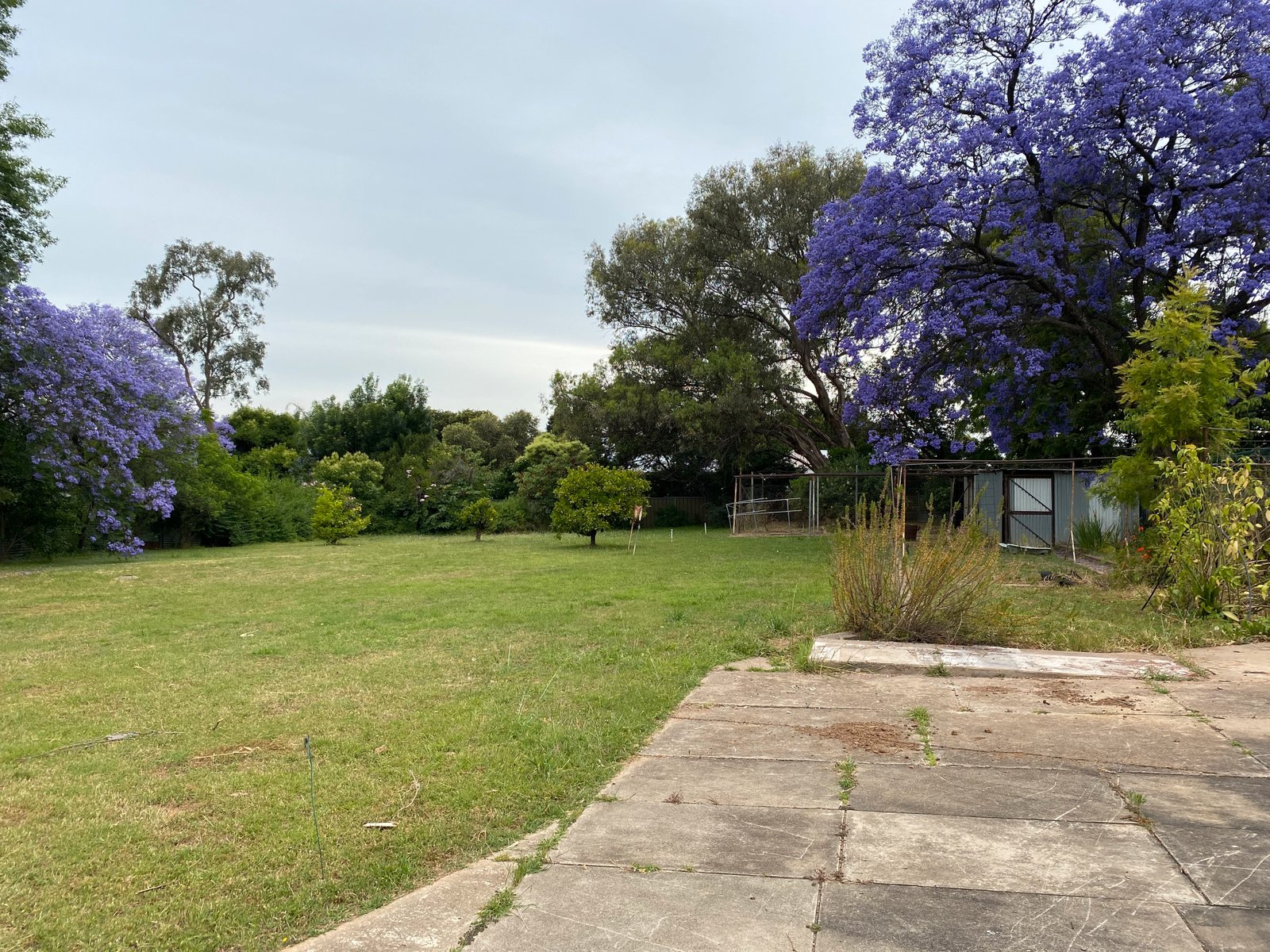 35 Hillvue Road TAMWORTH NSW 2340