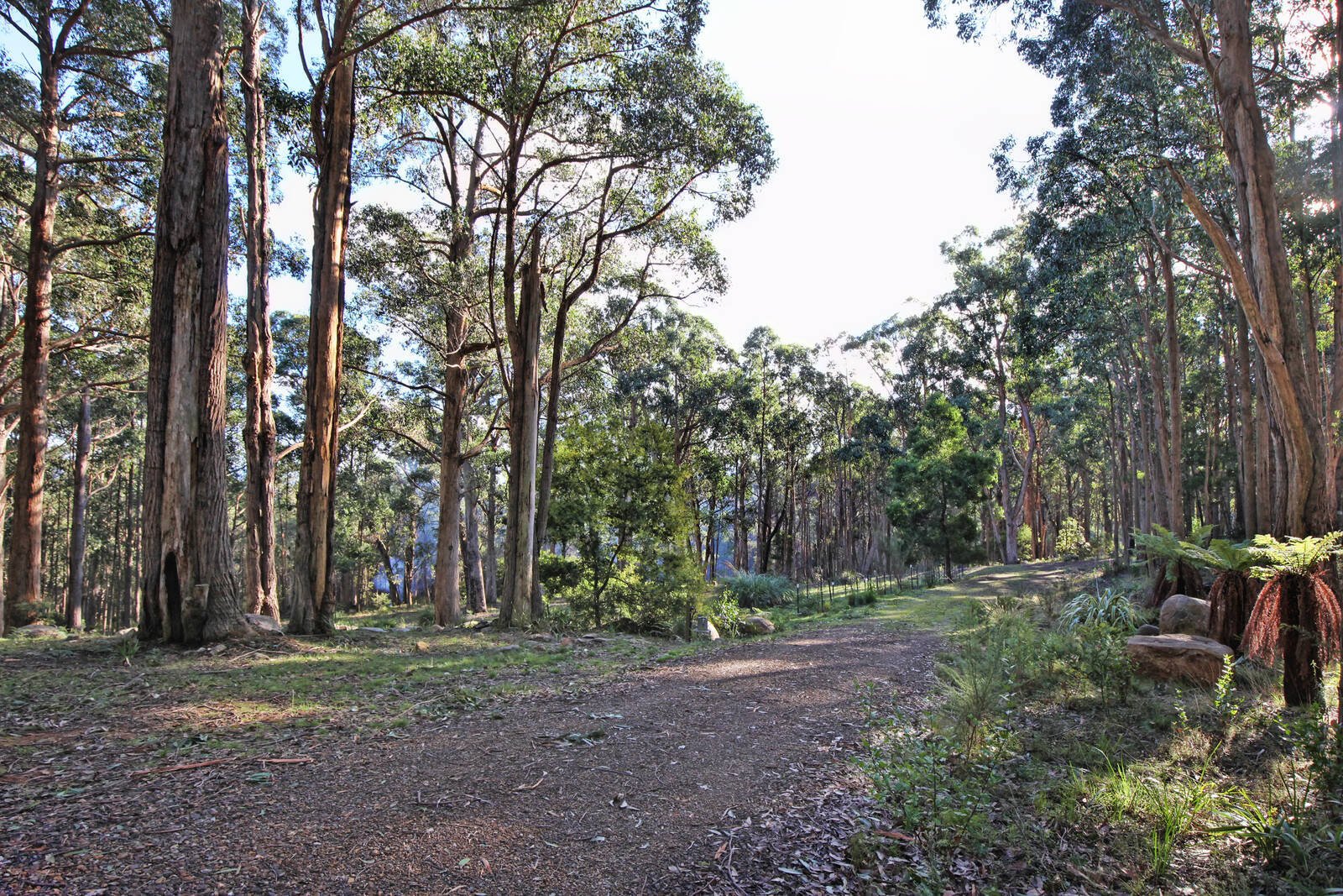 Real Estate and Property in 35 Inglewood Road, Cherokee, VIC