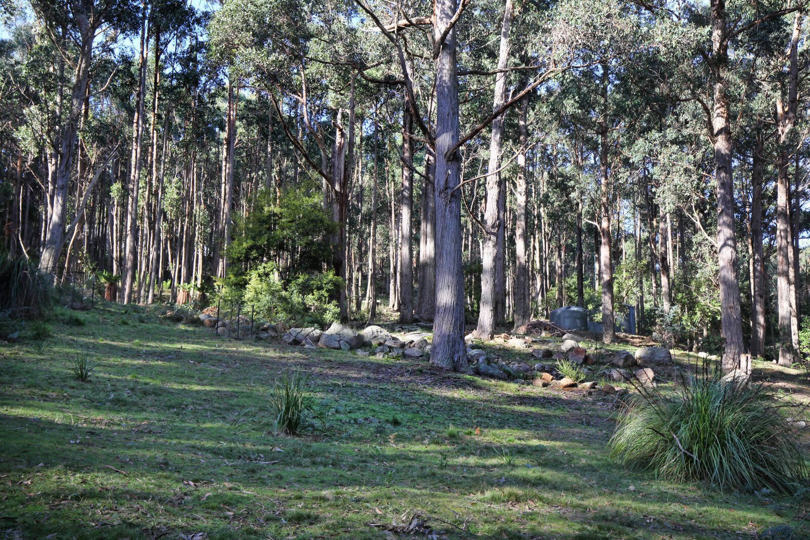 Real Estate and Property in 35 Inglewood Road, Cherokee, VIC