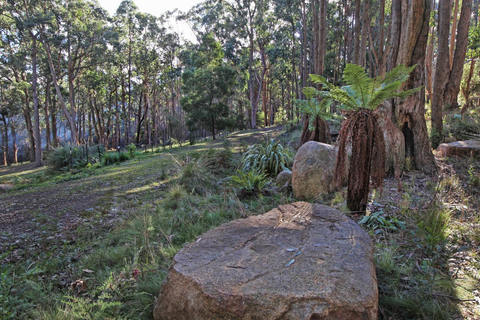 Real Estate and Property in 35 Inglewood Road, Cherokee, VIC