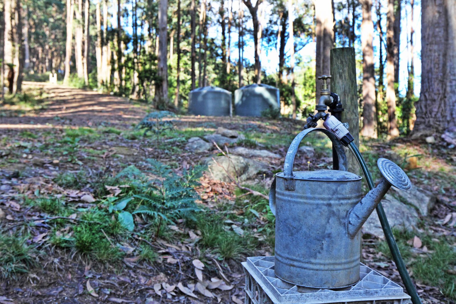 Real Estate and Property in 35 Inglewood Road, Cherokee, VIC