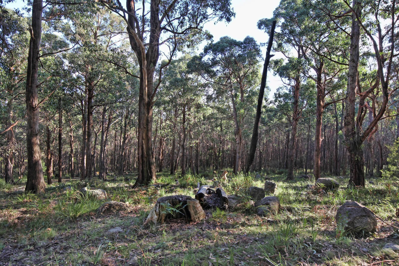 Real Estate and Property in 35 Inglewood Road, Cherokee, VIC