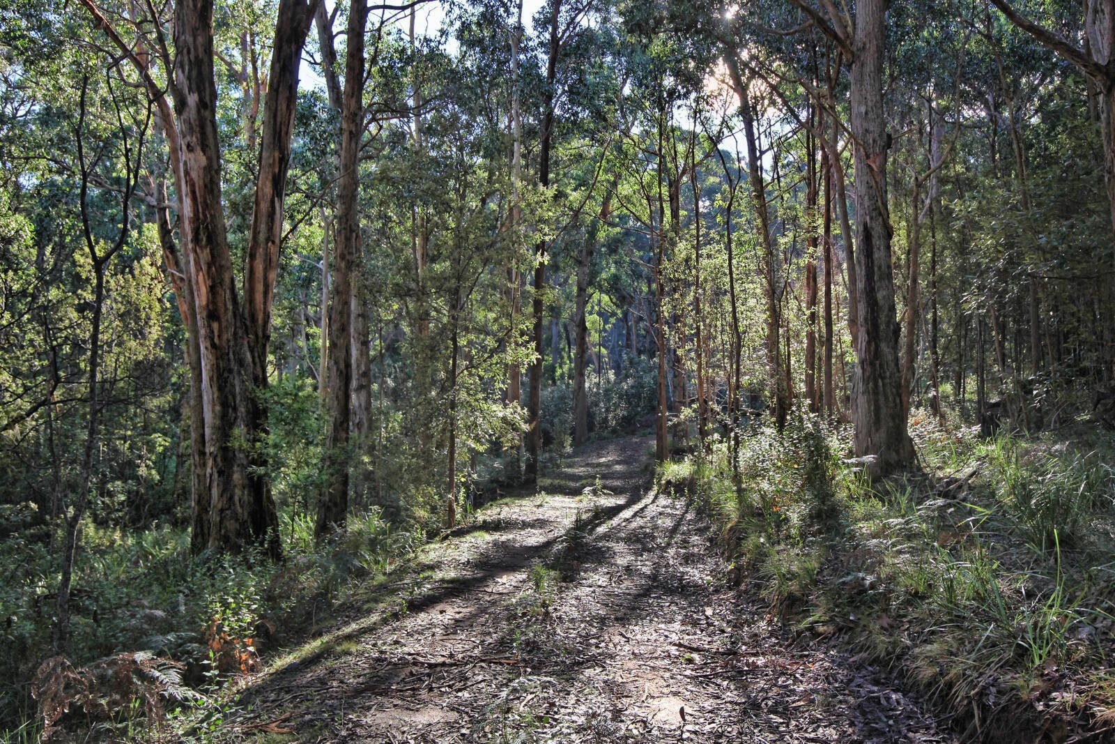 Real Estate and Property in 35 Inglewood Road, Cherokee, VIC