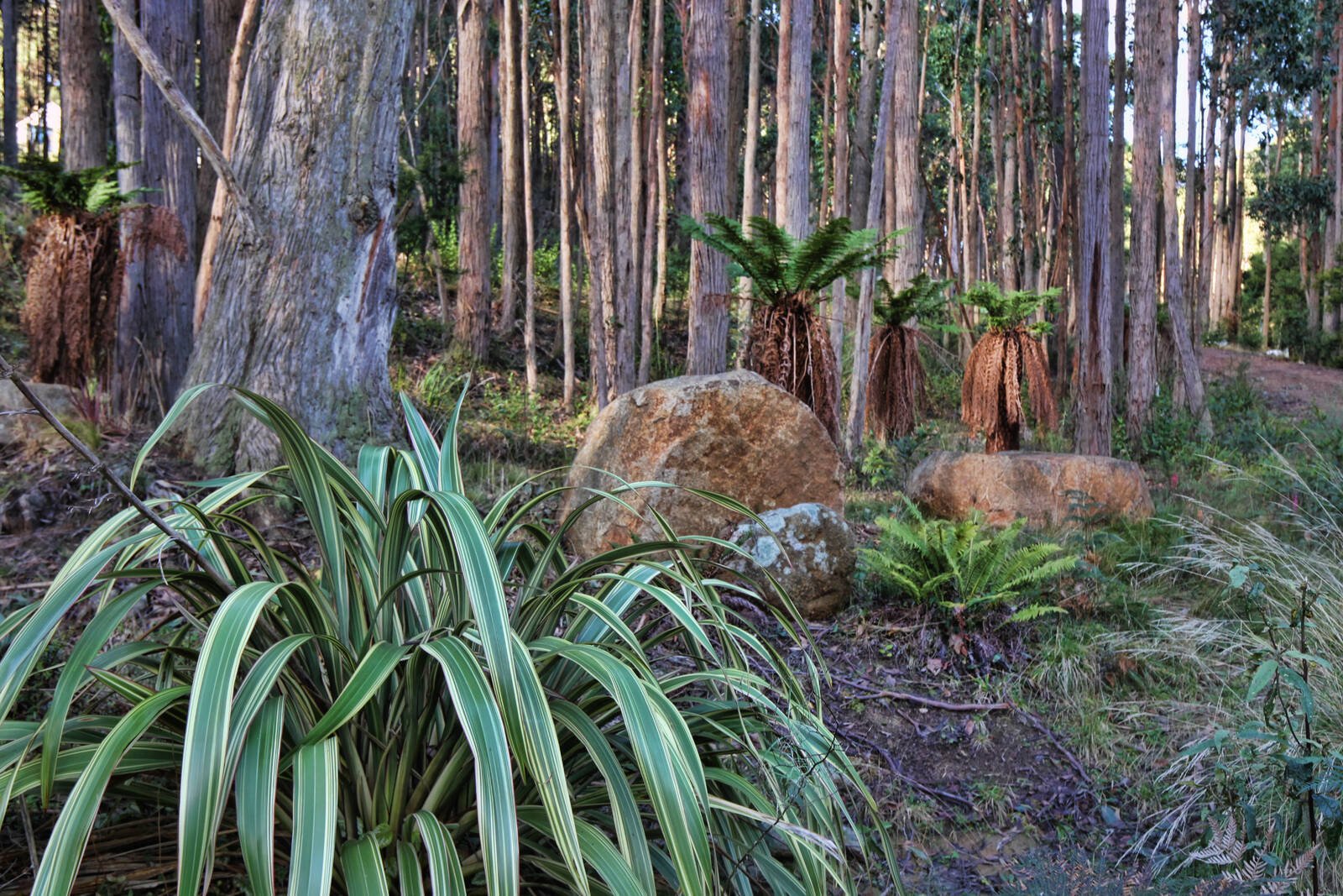 Real Estate and Property in 35 Inglewood Road, Cherokee, VIC