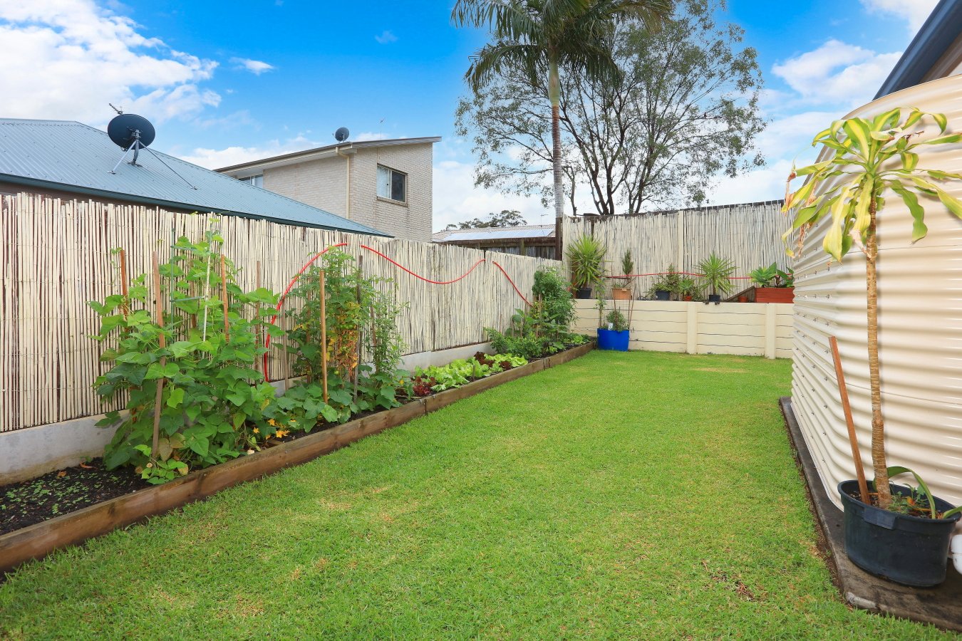 35 Orlando Drive COOMERA 11