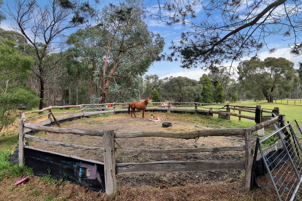 35 Short Road SMYTHESDALE 15