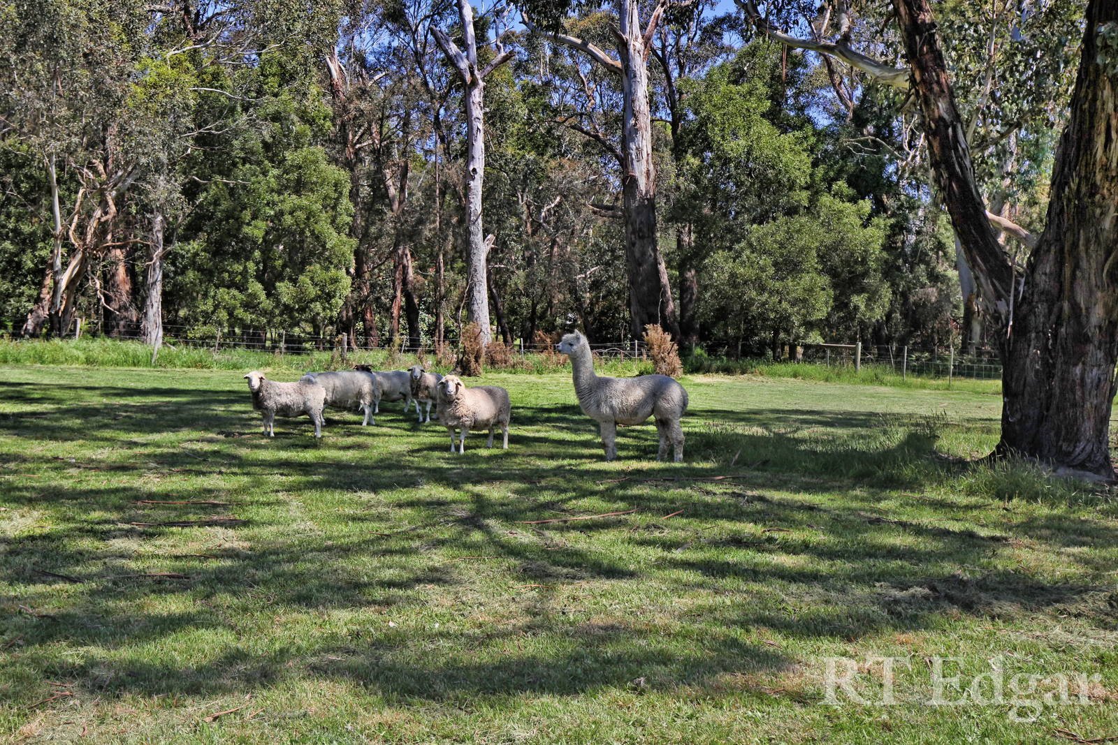 Real Estate and Property in 35 Slatey Creek Road, Woodend, VIC