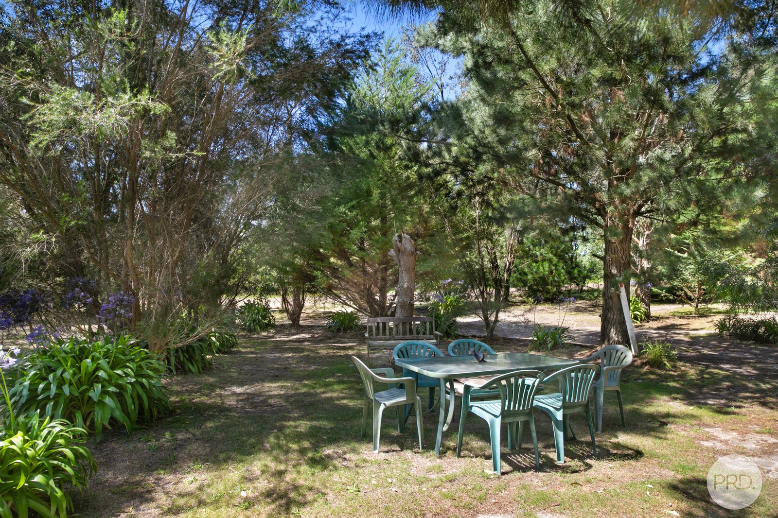 35 Spring Road CORINDHAP 10