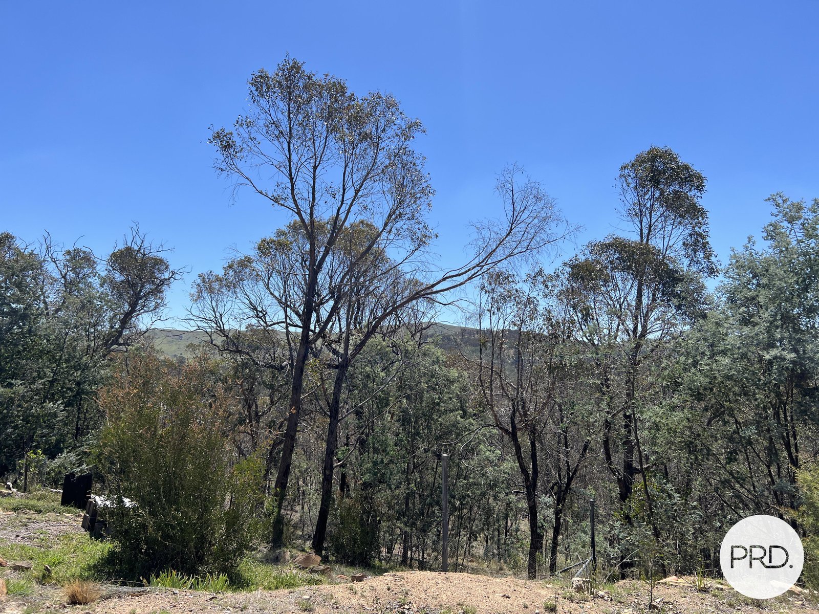 350 Widgiewa Road CARWOOLA 25